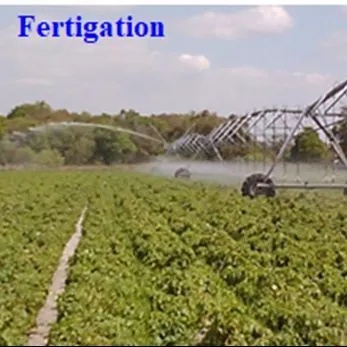 thumbnail for publication: The Advantages and Disadvantages of Fertigation